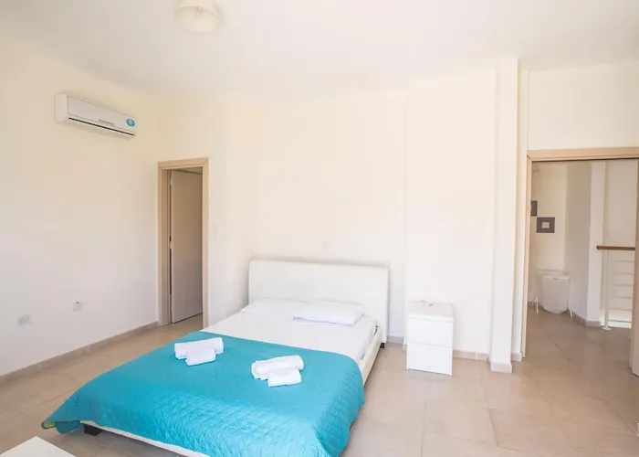 فيلة Delfini Dv8 *